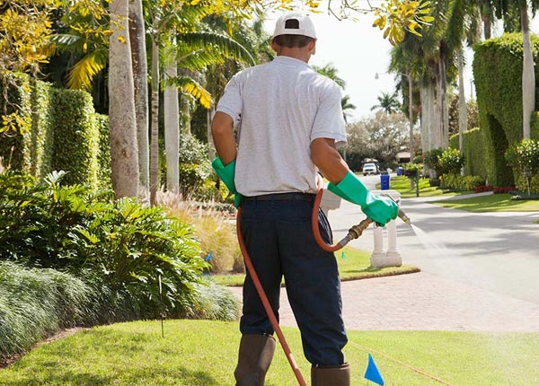 About West Hartland CT Pest Control